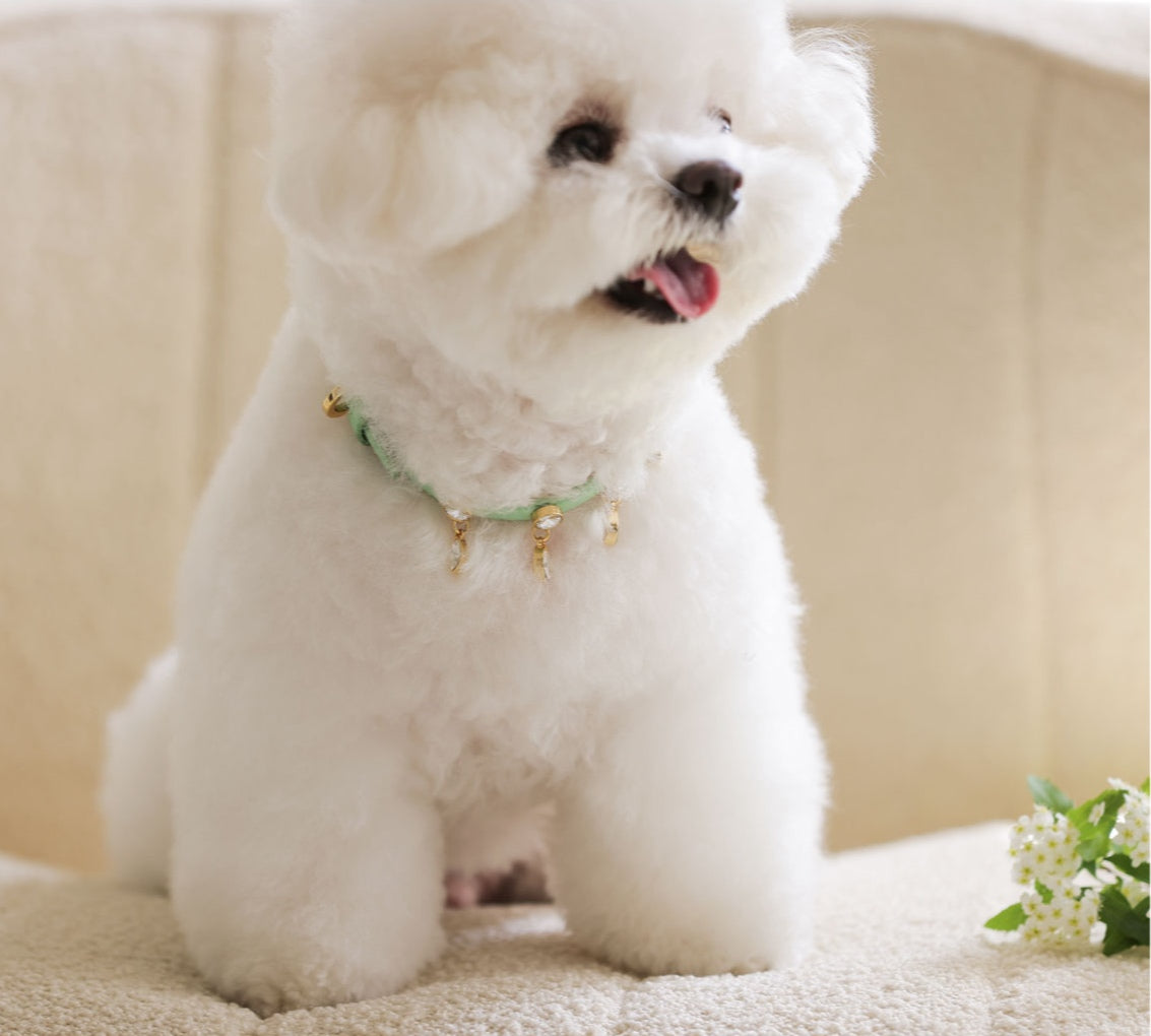 Bloom Swarovski Collar【迷子札】メロングリーン