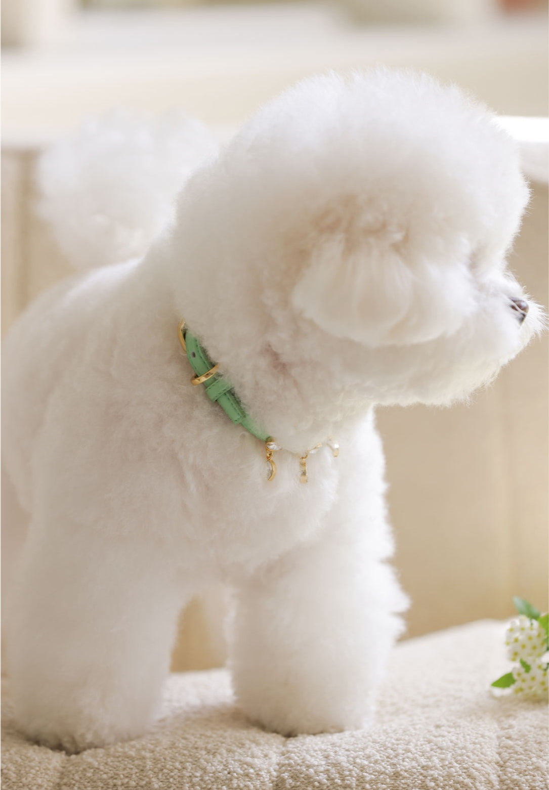 Bloom Swarovski Collar【迷子札】メロングリーン