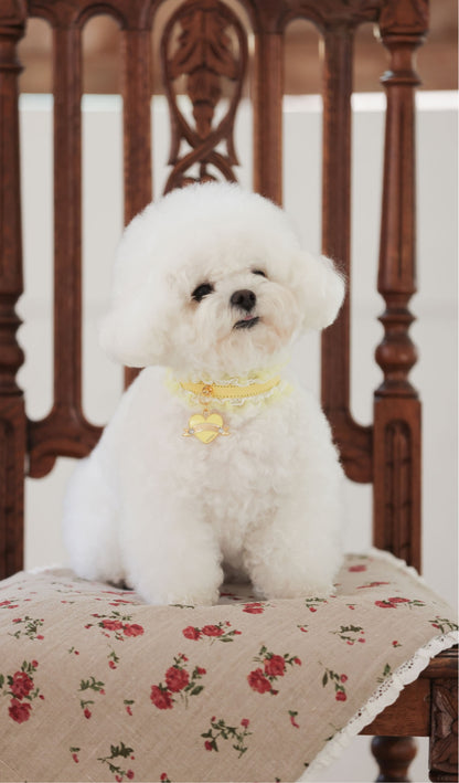 Sherbet Lace Collar【迷子札】レモン