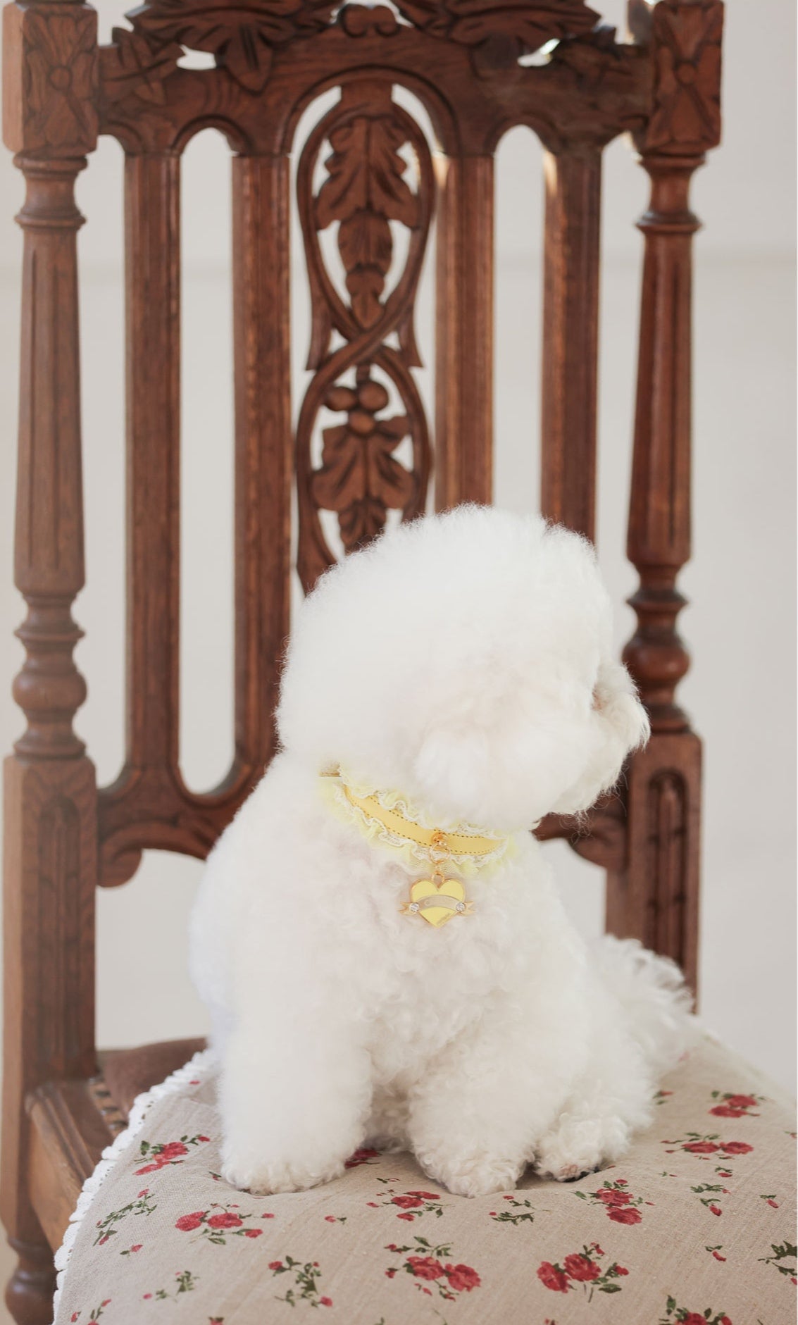 Sherbet Lace Collar【迷子札】レモン