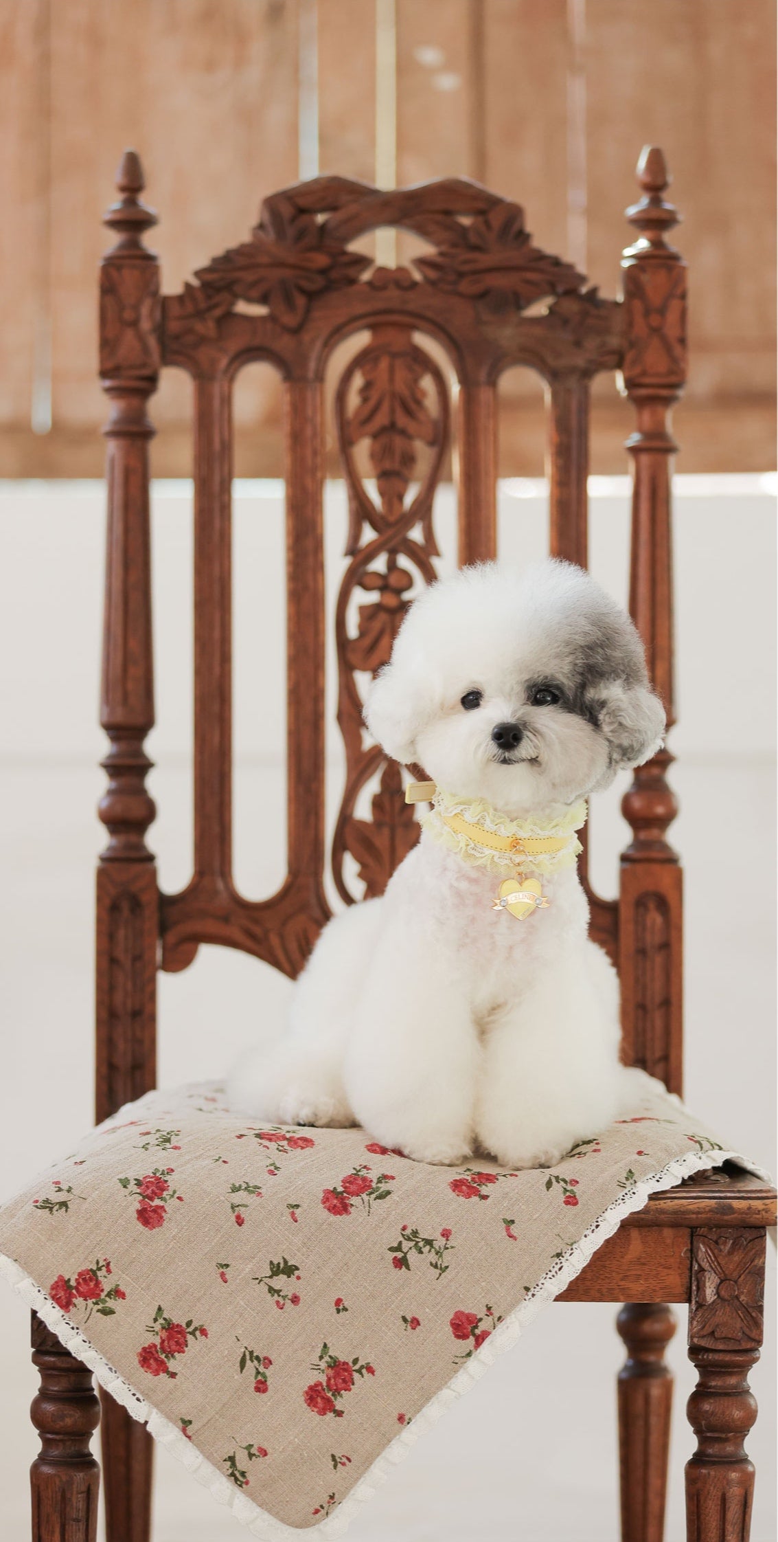 Sherbet Lace Collar【迷子札】レモン
