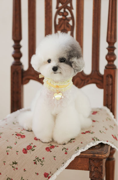 Sherbet Lace Collar【迷子札】レモン