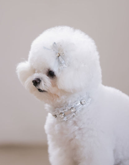 予約 Sherbet Lace Swarovski Collar【迷子札】シルバー
