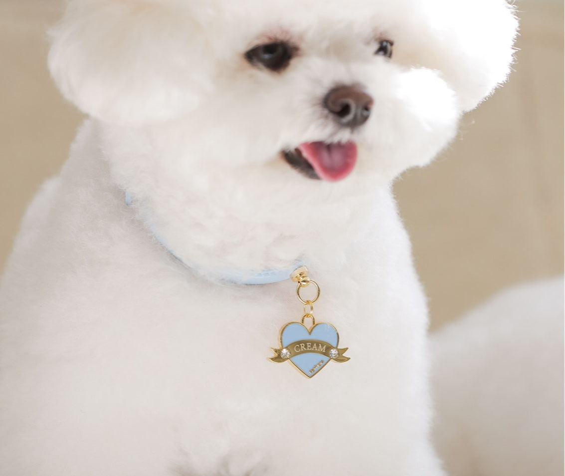 Bloom Collar × In My Heart Pendant【迷子札】 スカイブルー