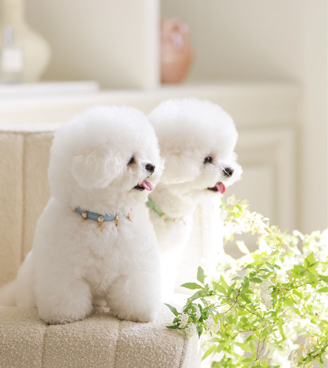Bloom Swarovski Collar【迷子札】スカイブルー