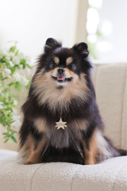 You Are My Star Necklace【迷子札】ホワイト