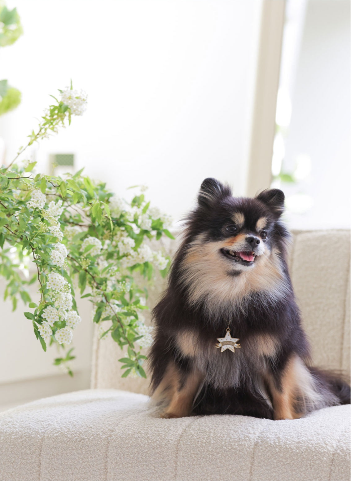 You Are My Star Necklace【迷子札】ホワイト