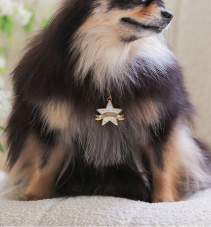 You Are My Star Necklace【迷子札】ホワイト