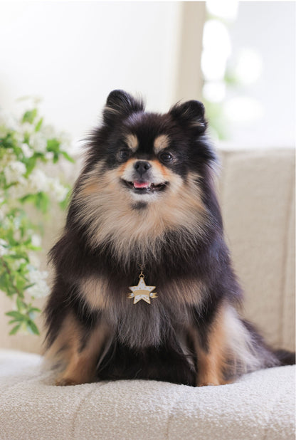 You Are My Star Swarovski Necklace【迷子札】ホワイト