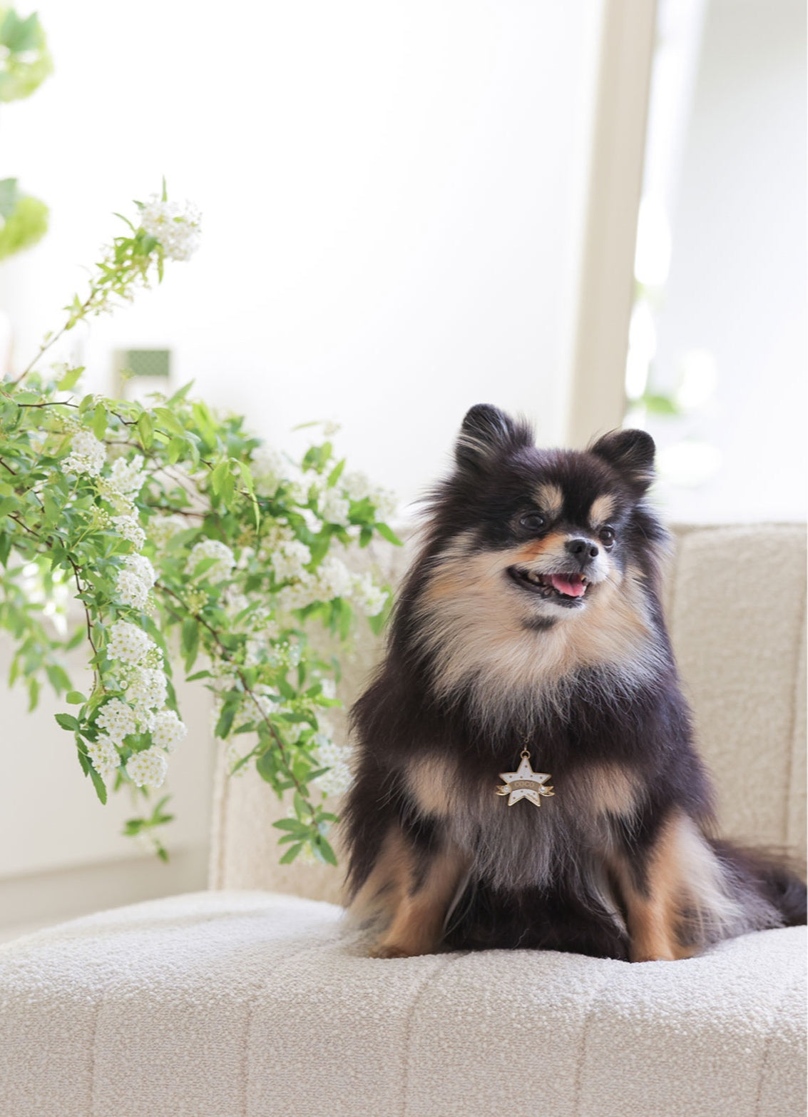 You Are My Star Swarovski Necklace【迷子札】ホワイト