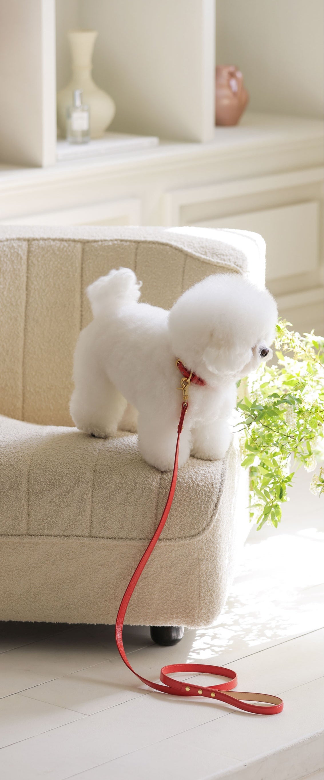 Bloom Leash タンゴオレンジ