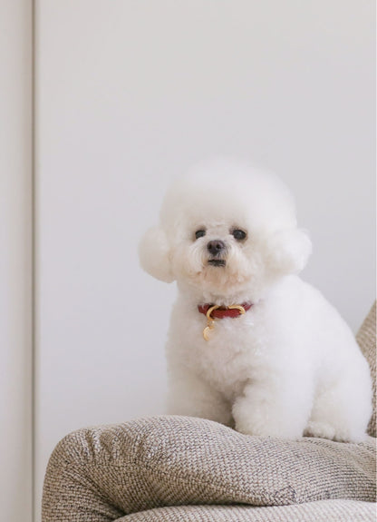 一部即納 Bloom Collar【迷子札】ワイン