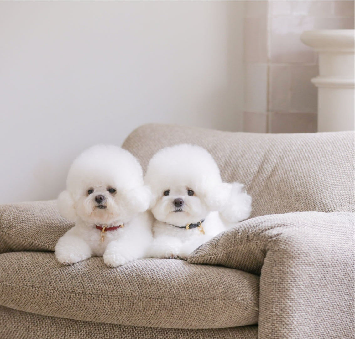 即納 Bloom Leash - ワイン