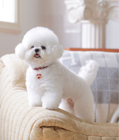 Bloom Collar × In My Heart Pendant【迷子札】 ワイン