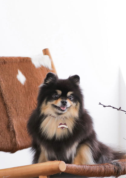 Bloom Collar × In My Heart Pendant【迷子札】 ワイン