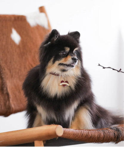 Bloom Collar × In My Heart Pendant【迷子札】 ワイン