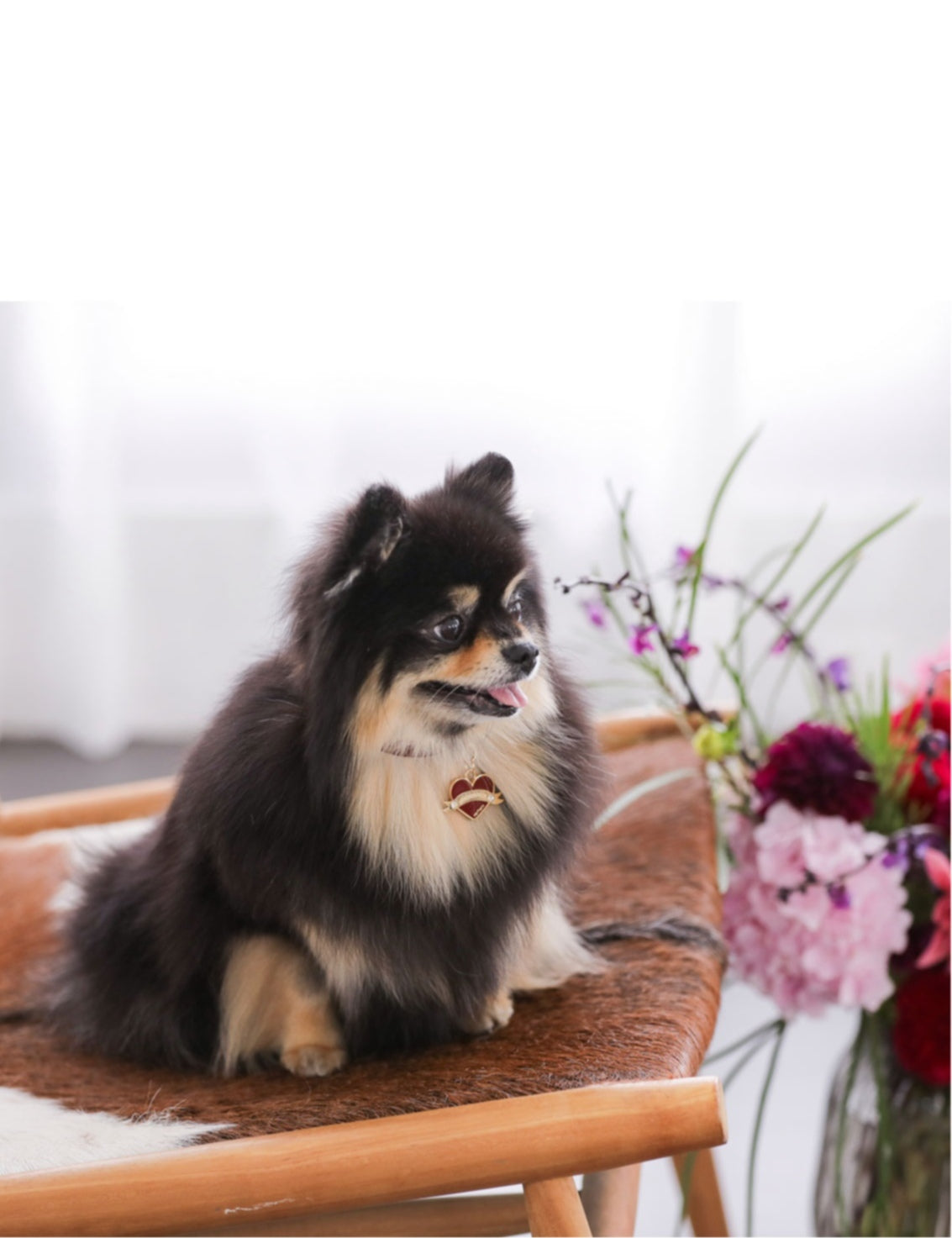 Bloom Collar × In My Heart Pendant【迷子札】 ワイン